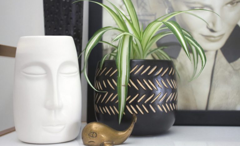 Easy Ways to Reduce Stress and Improve Mental Clarity
